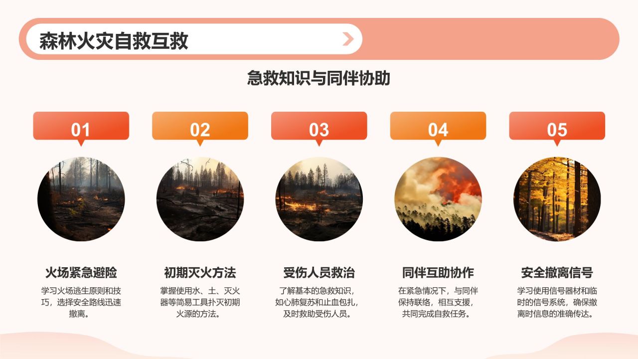 红色插画风森林防火人人有责PPT模板