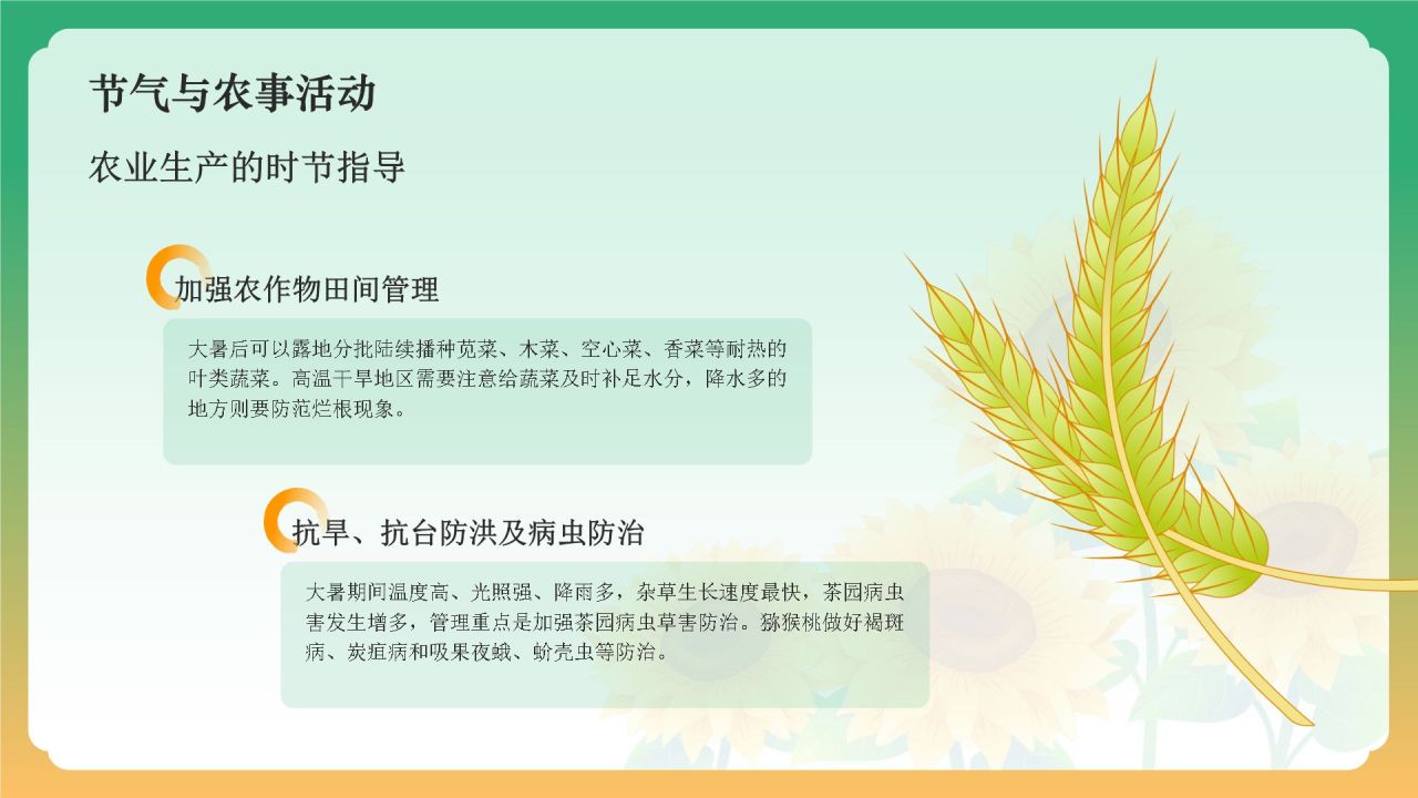 黄色国潮风二十四节气科普介绍——大暑PPT模板