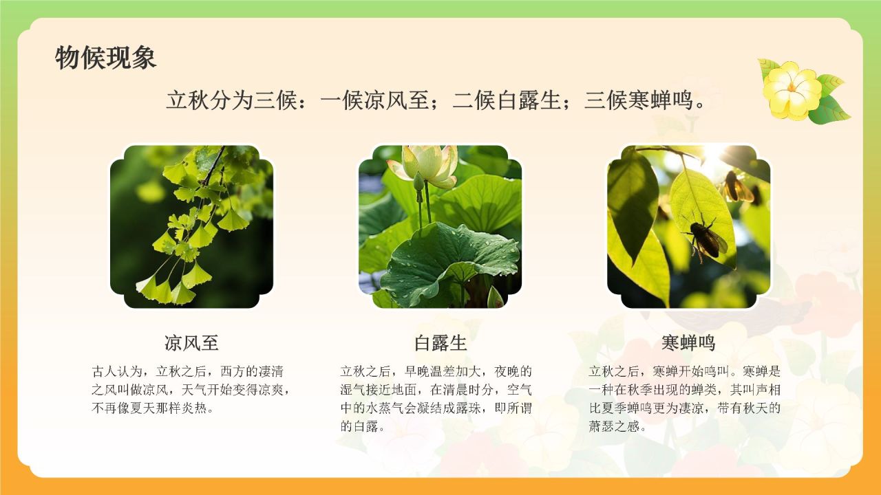 绿色国潮风二十四节气科普介绍——立秋PPT模板