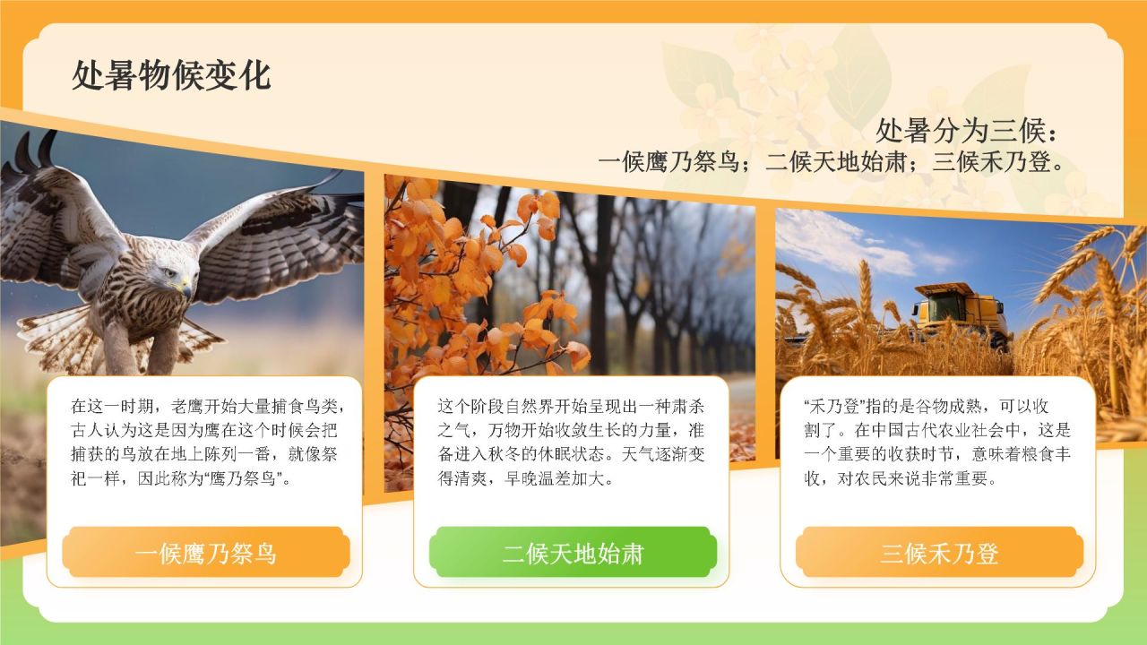 橙色国潮风二十四节气科普介绍——处暑PPT模板