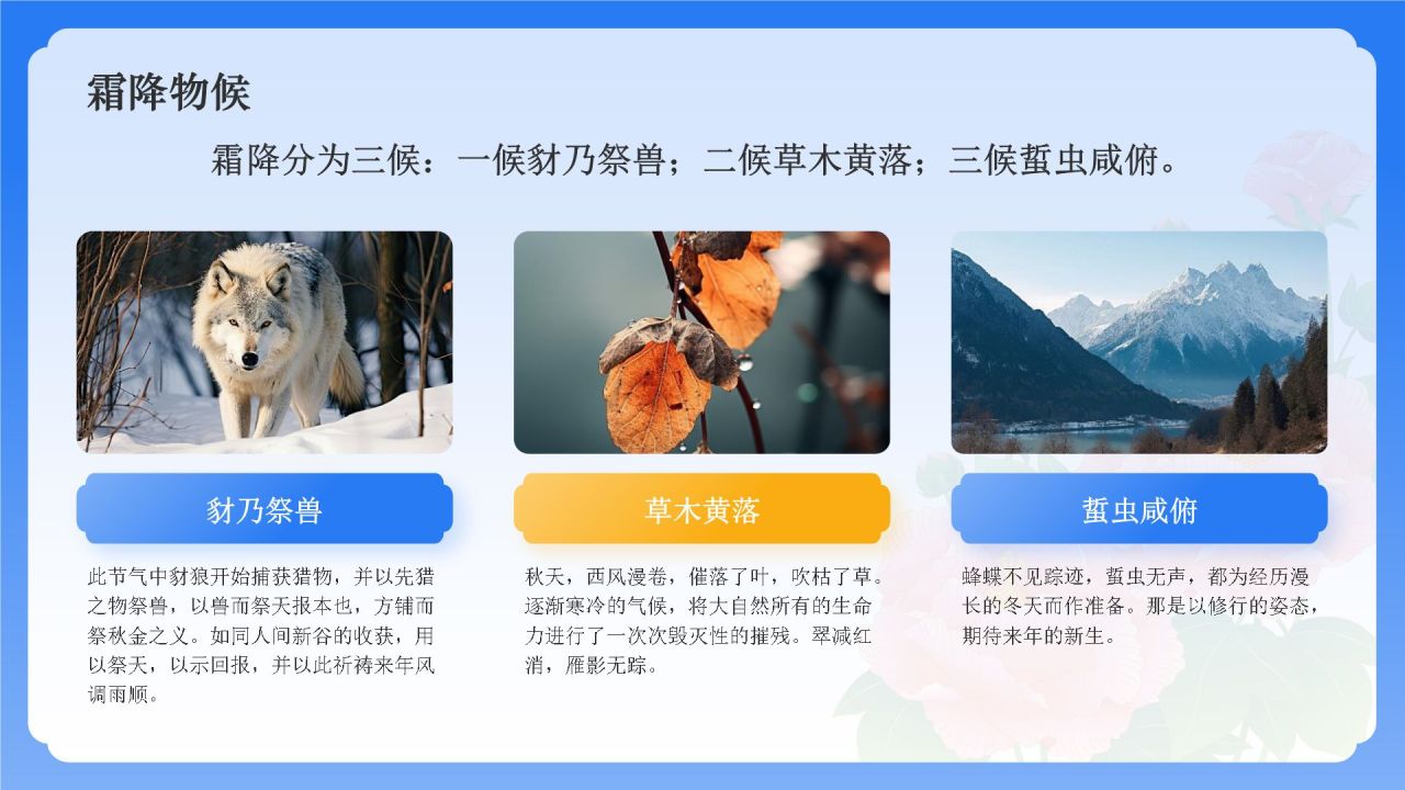 蓝色国潮风二十四节气科普介绍——霜降PPT模板