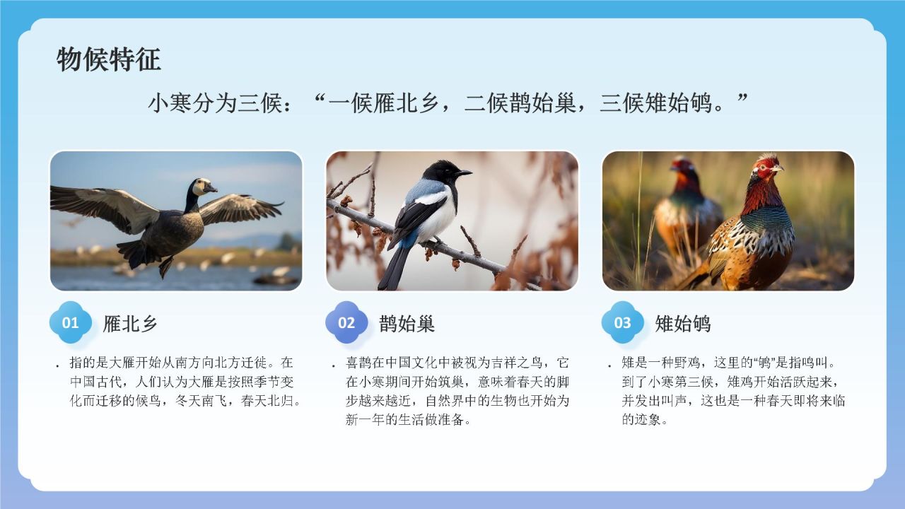 蓝色国潮风二十四节气科普介绍——小寒PPT模板