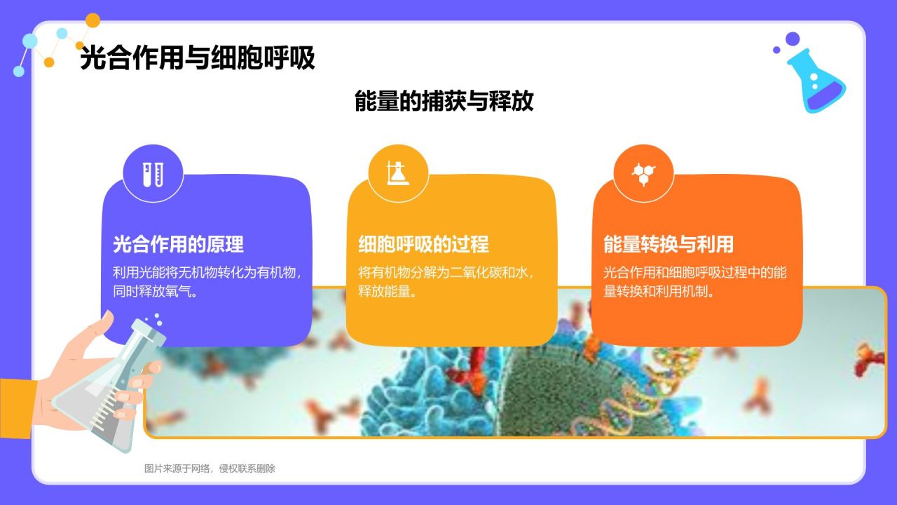 紫色插画风高中生物课程教学课件PPT模板