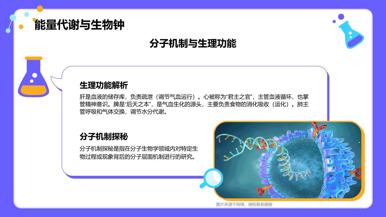紫色插画风高中生物课程教学课件PPT模板