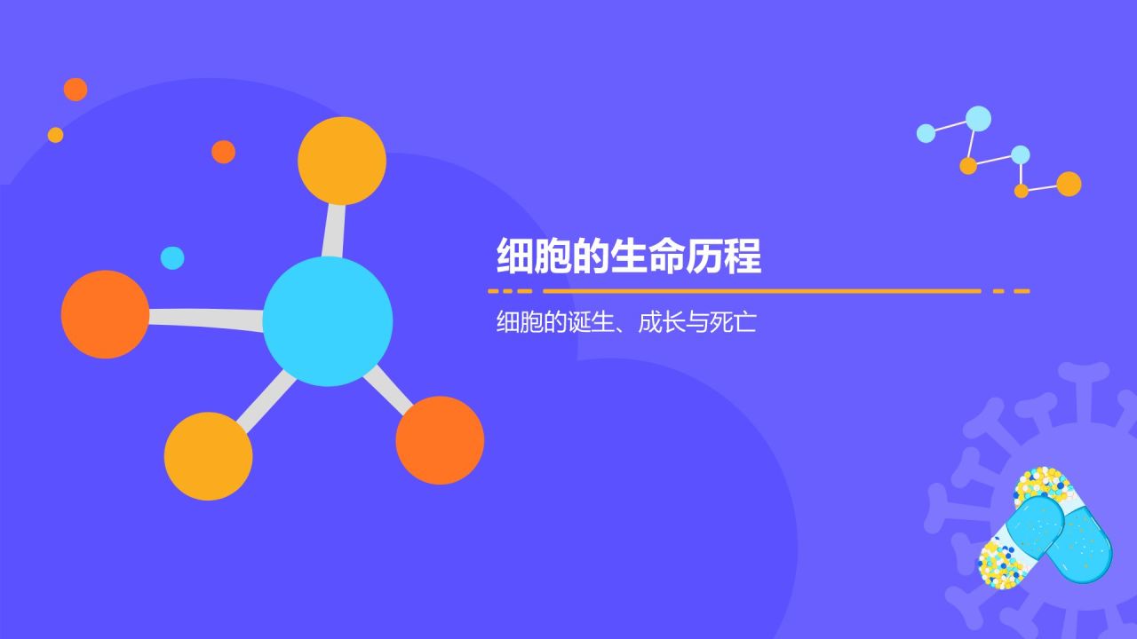 紫色插画风高中生物课程教学课件PPT模板