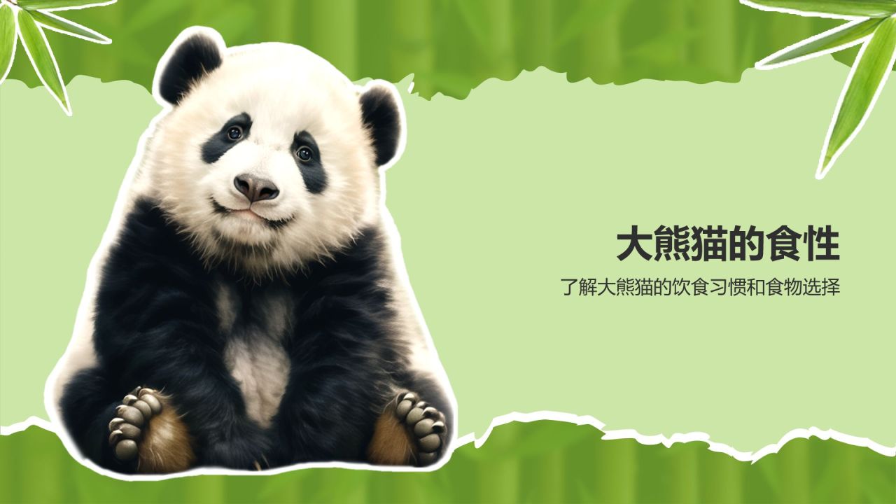 绿色插画风大熊猫知识科普PPT模板