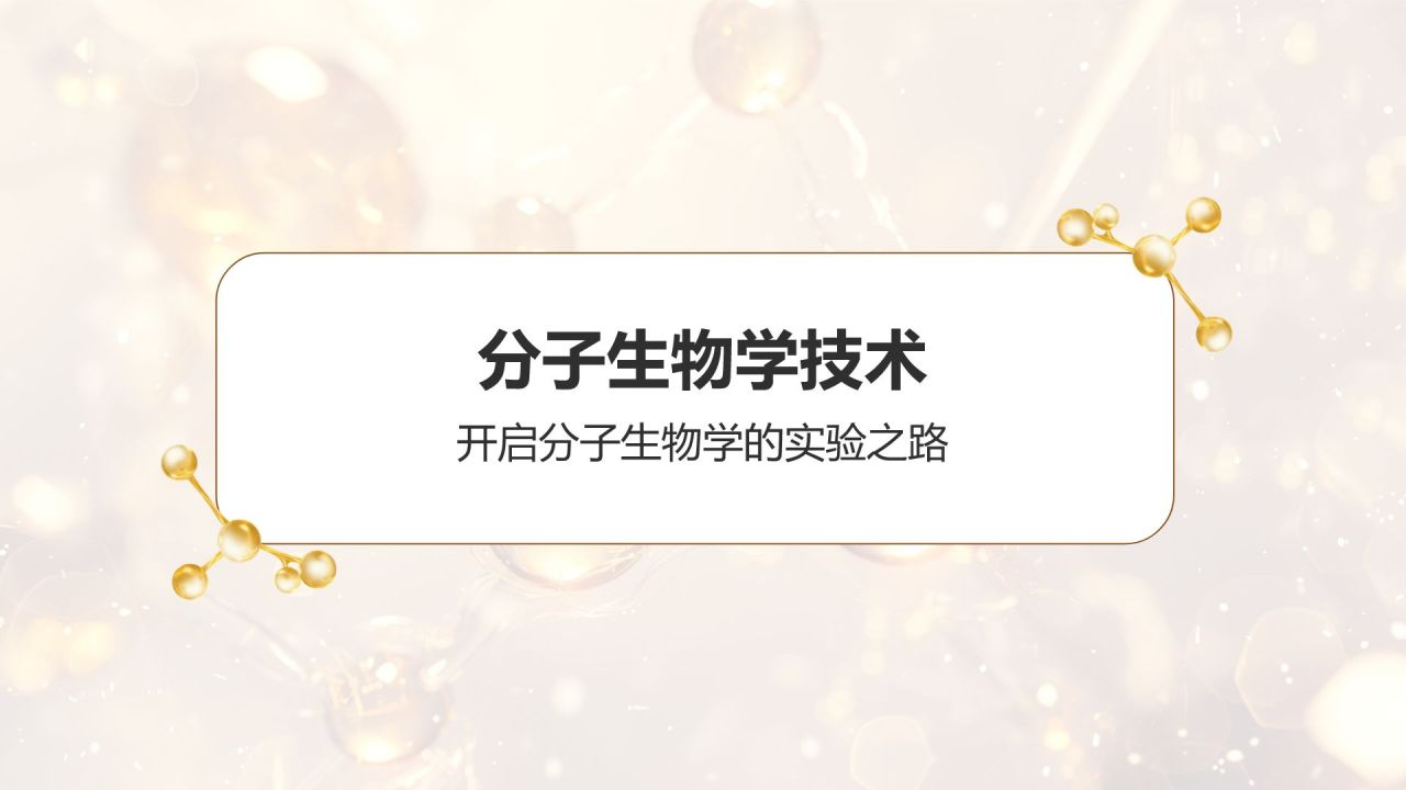 橙色3D风分子生物学PPT模板
