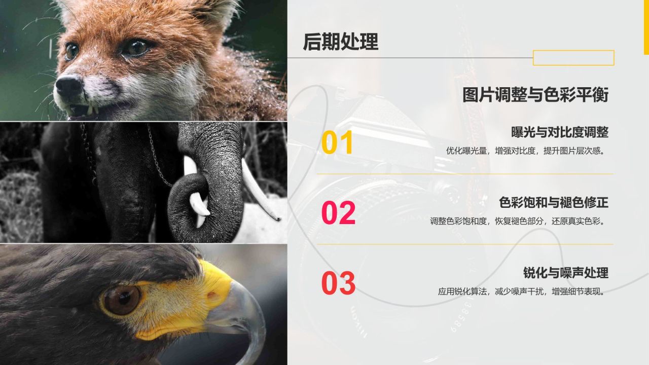 黑色摄影风摄影作品集PPT模板