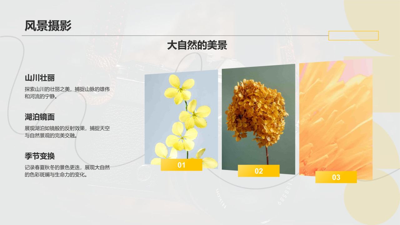 黑色摄影风摄影作品集PPT模板