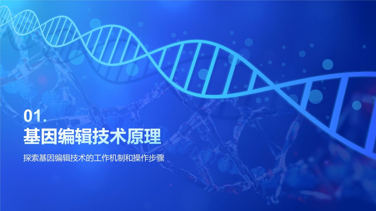 蓝色科技风遗传学与基因工程PPT模板