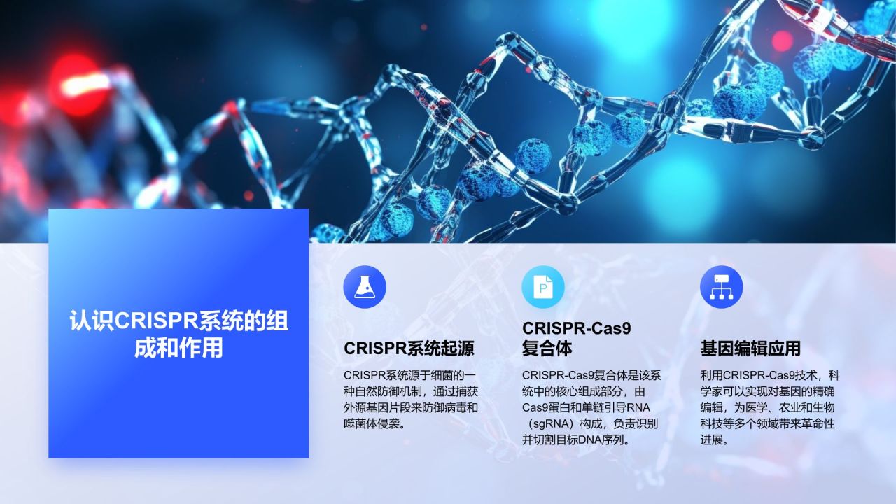 蓝色科技风遗传学与基因工程PPT模板