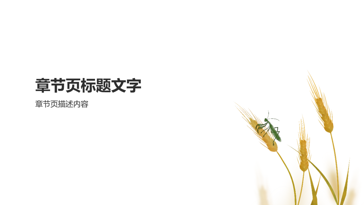 黄色二十四节气
芒种PPT主题