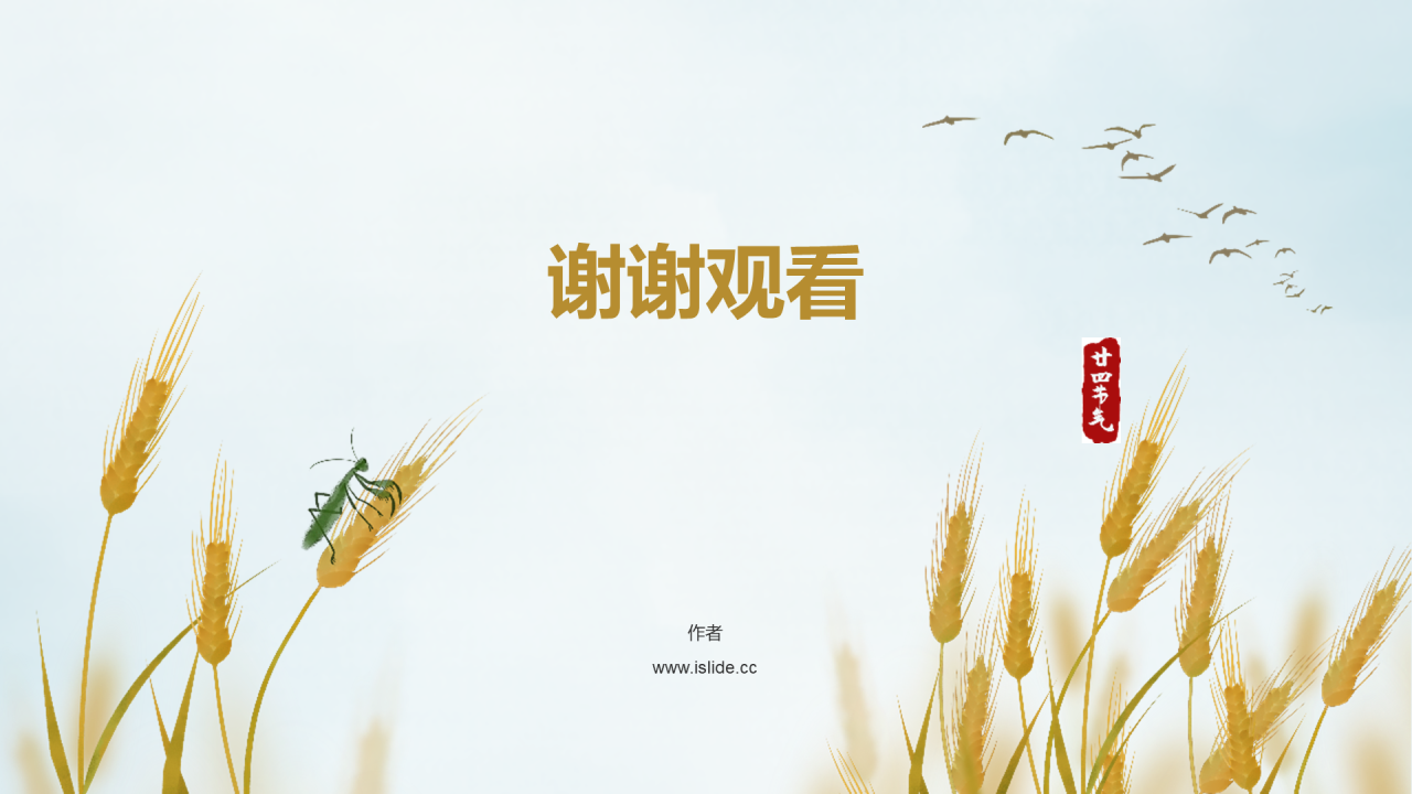 黄色二十四节气
芒种PPT主题