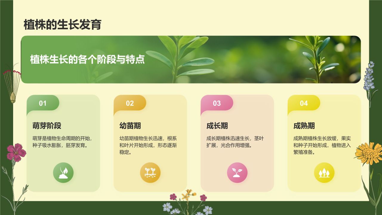 绿色手绘风植物学基础PPT模板