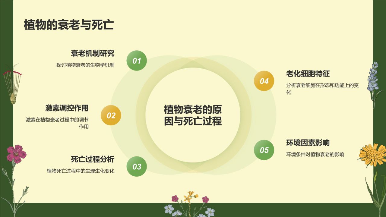 绿色手绘风植物学基础PPT模板