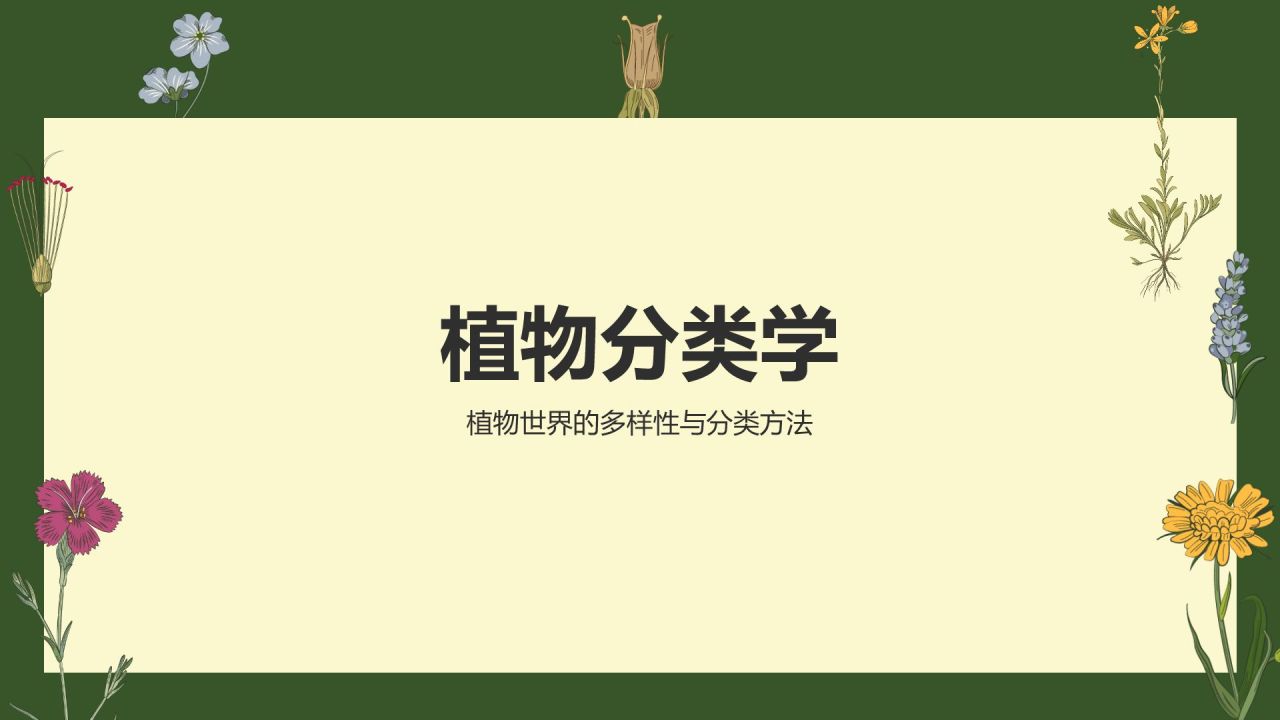 绿色手绘风植物学基础PPT模板