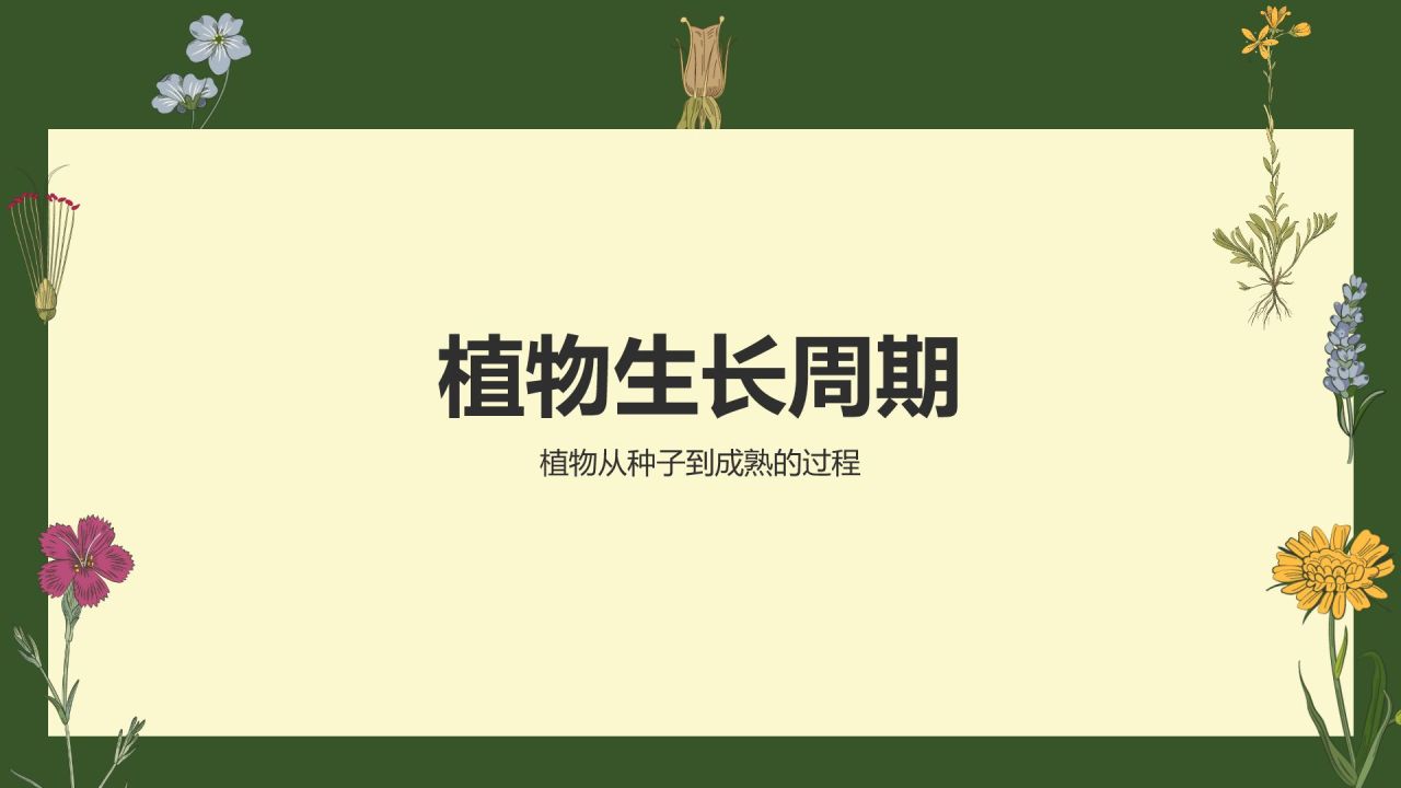 绿色手绘风植物学基础PPT模板