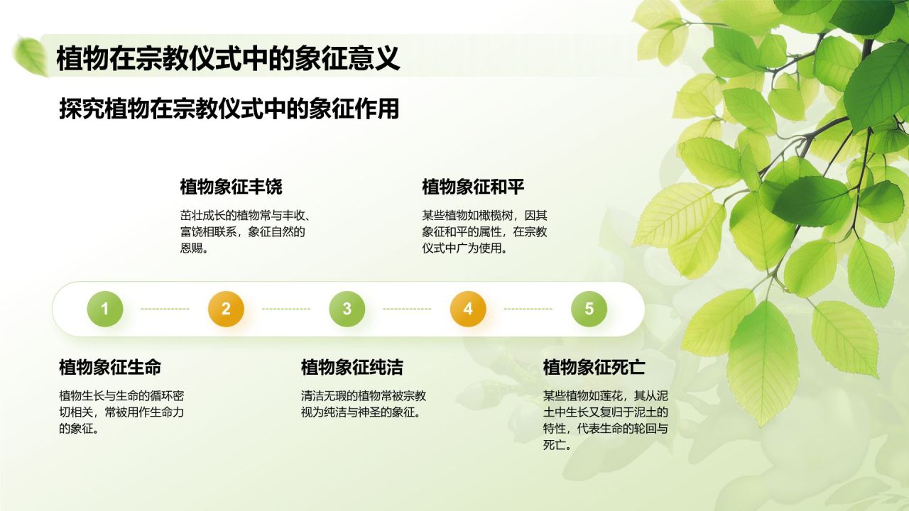绿色插画风植物生态学与人类文明发展PPT模板