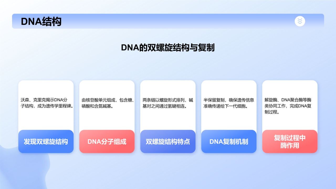 蓝色插画风细胞生物学教学PPT模板