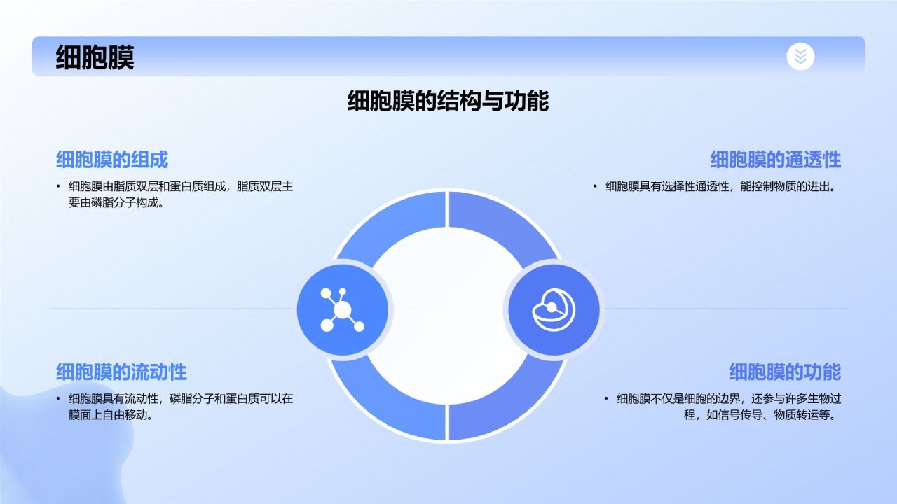 蓝色插画风细胞生物学教学PPT模板