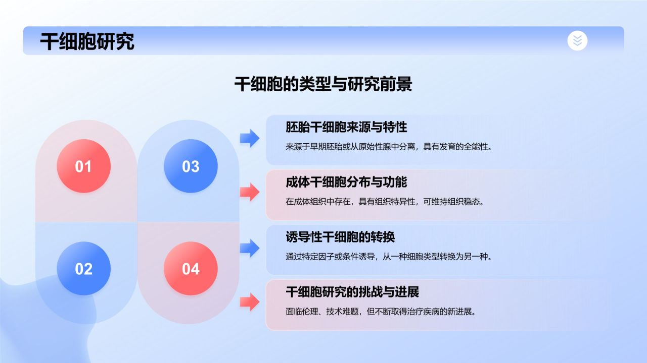 蓝色插画风细胞生物学教学PPT模板