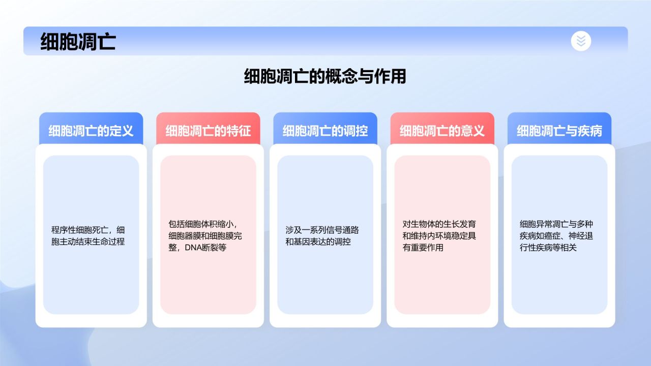 蓝色插画风细胞生物学教学PPT模板