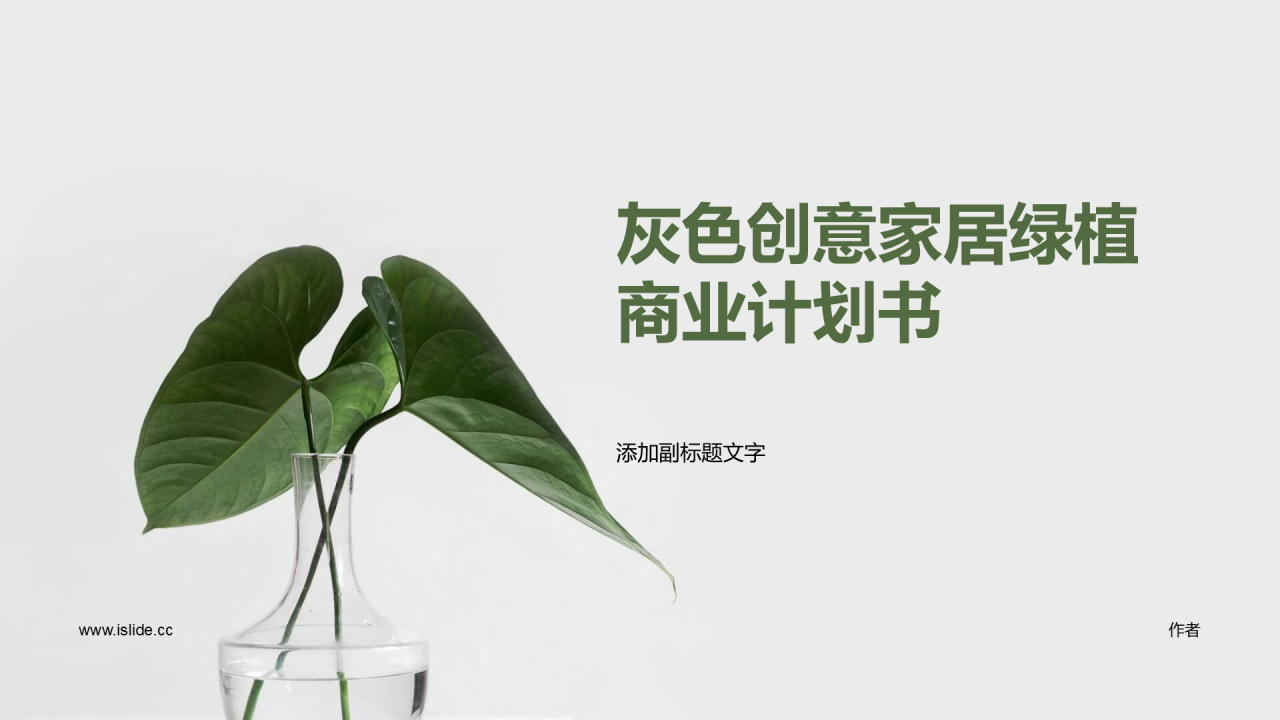灰色创意家居绿植商业计划书