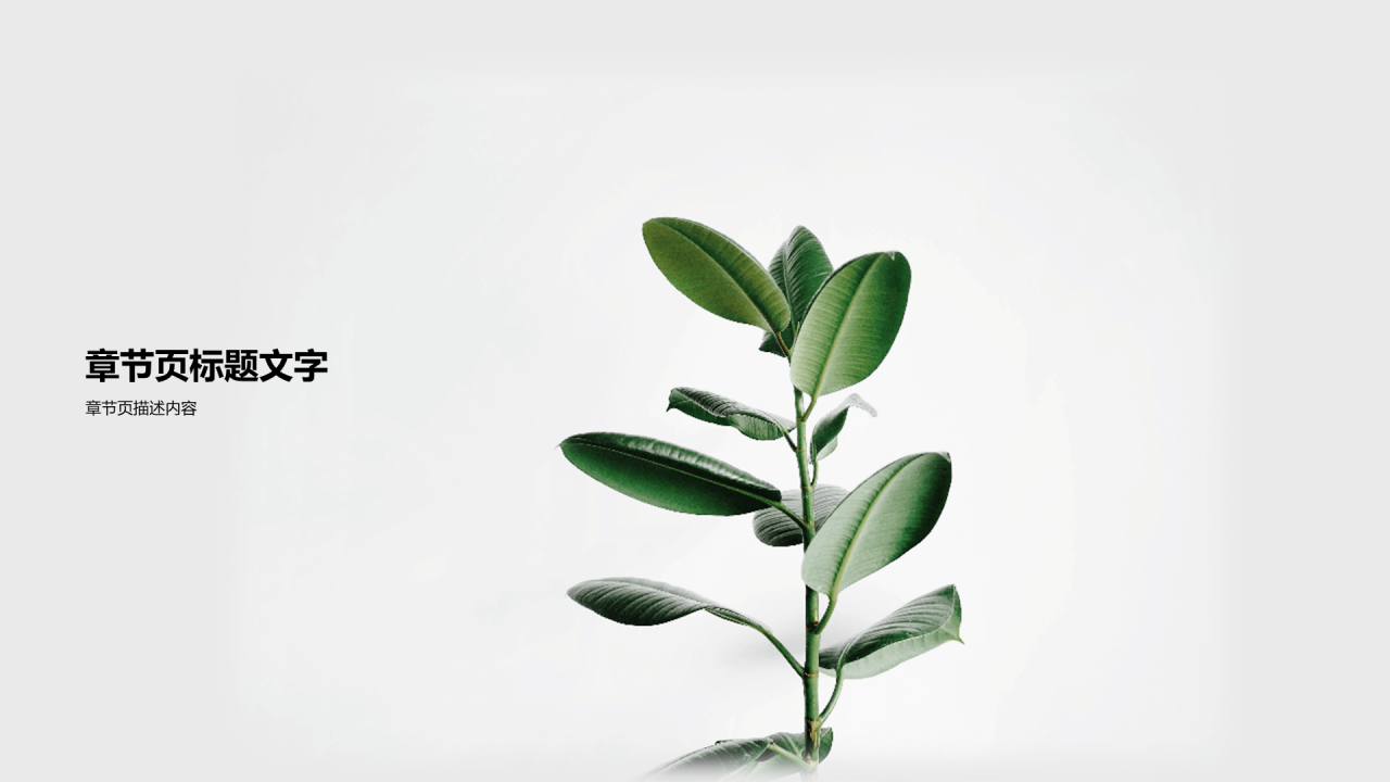 灰色创意家居绿植商业计划书