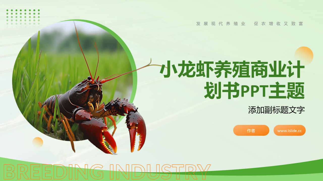 小龙虾养殖商业计划书PPT主题