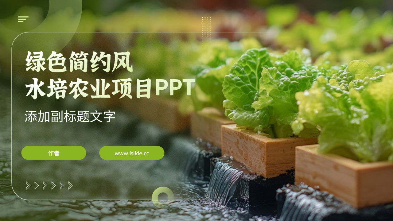绿色简约风水培农业项目PPT