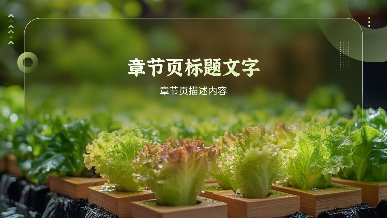 绿色简约风水培农业项目PPT