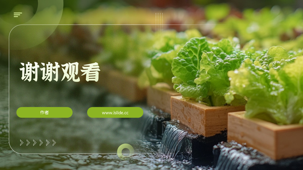 绿色简约风水培农业项目PPT