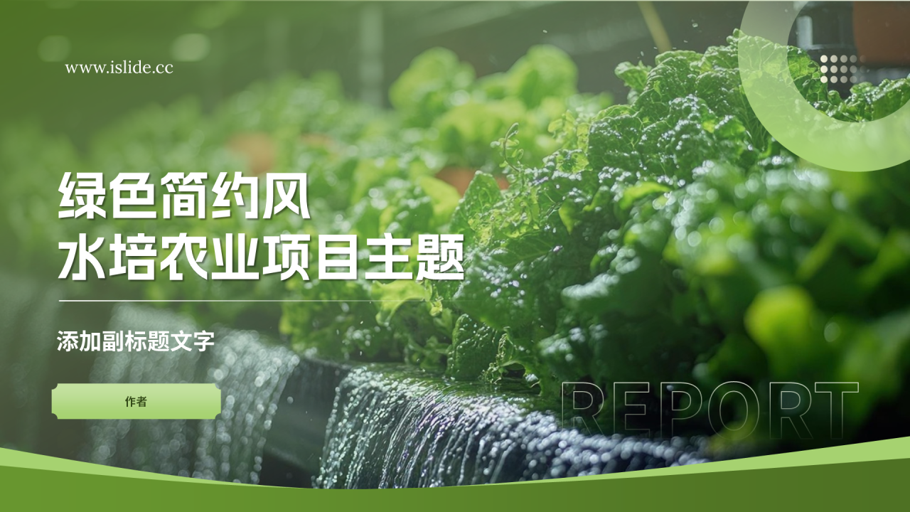 绿色简约风水培农业项目主题