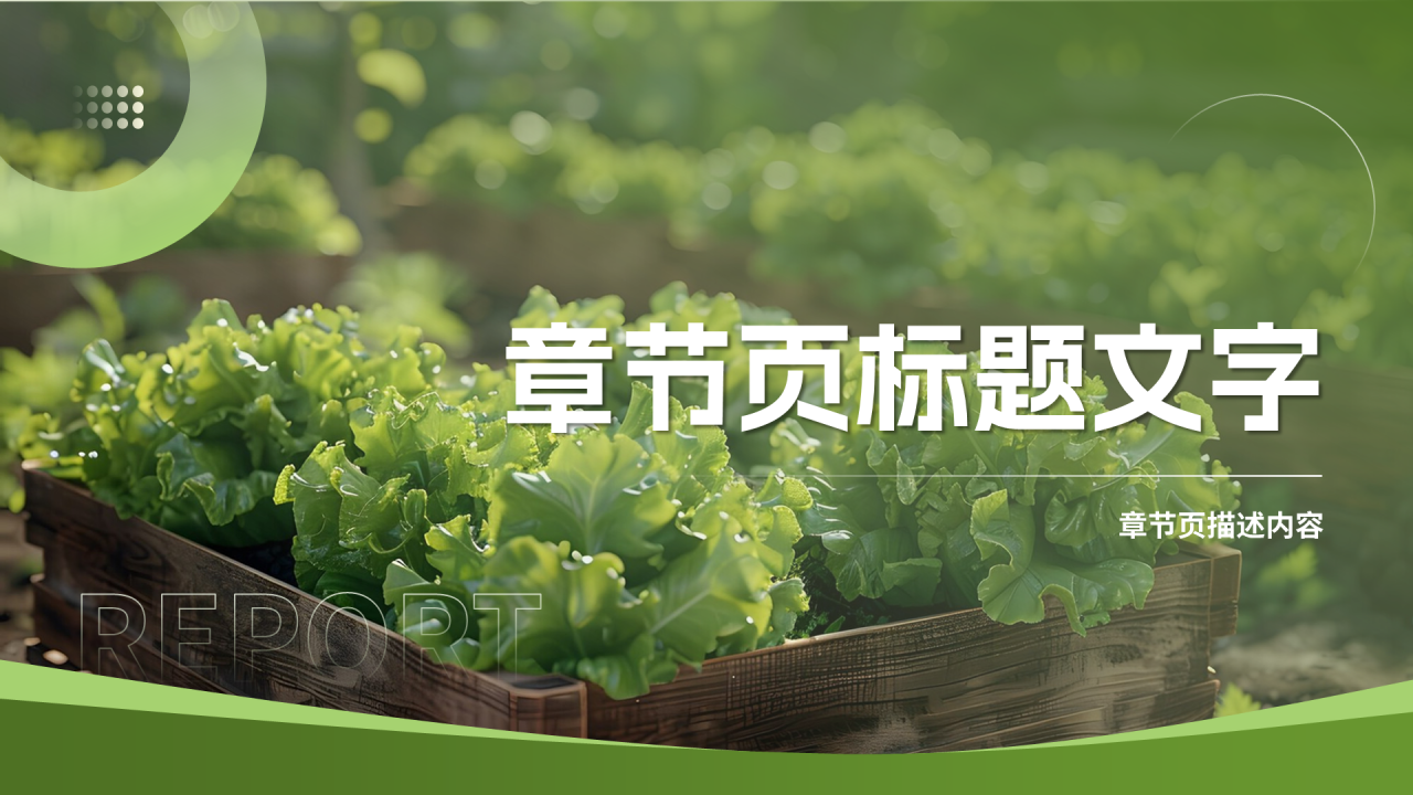 绿色简约风水培农业项目主题