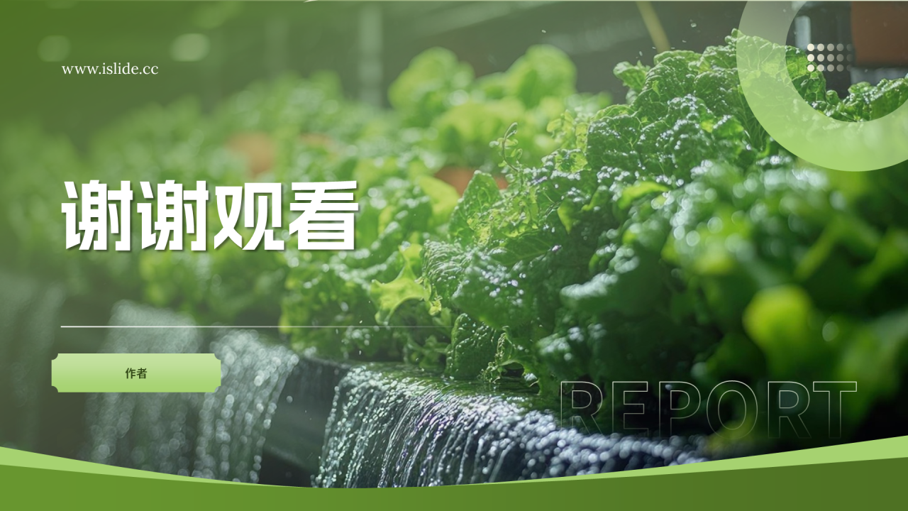 绿色简约风水培农业项目主题