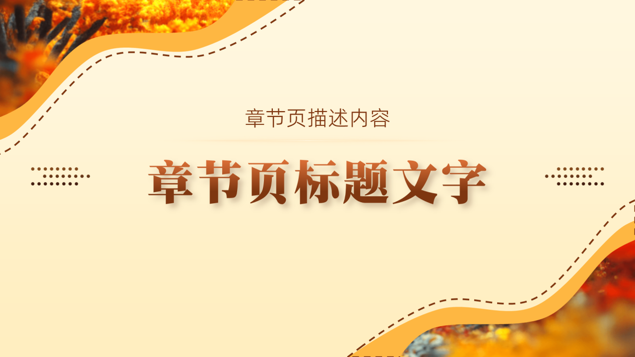 养老保险PPT主题模板