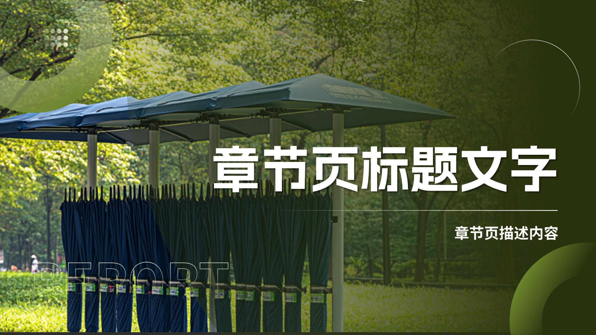 绿摄影风共享雨伞主题