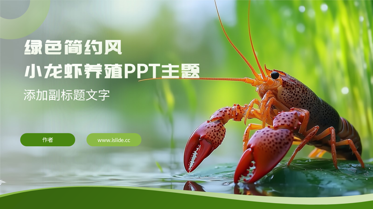 绿色简约风小龙虾养殖PPT主题