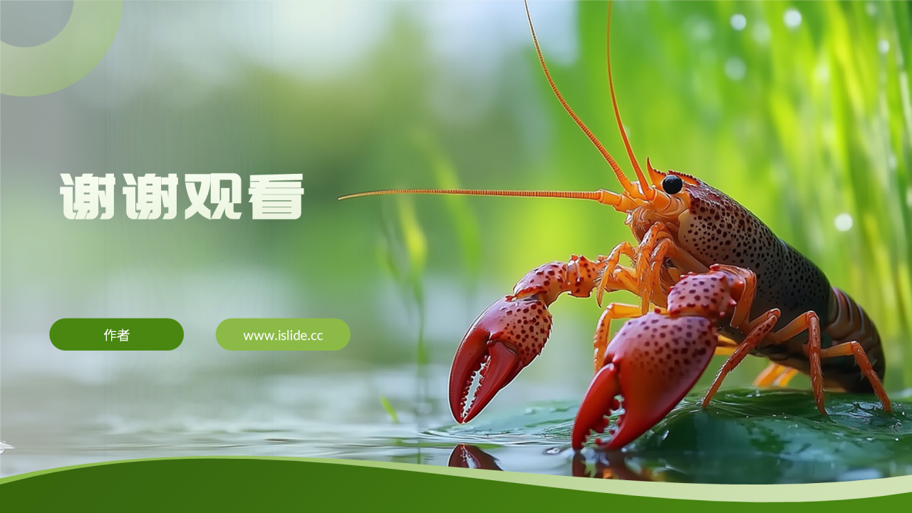 绿色简约风小龙虾养殖PPT主题