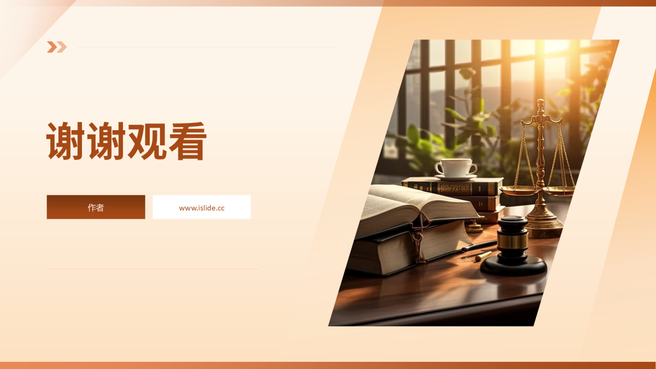 棕色简约风法律制度PPT主题