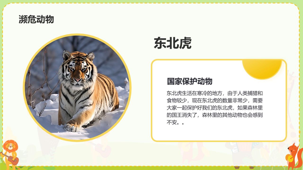 绿色插画风关爱生命 保护动物PPT模板