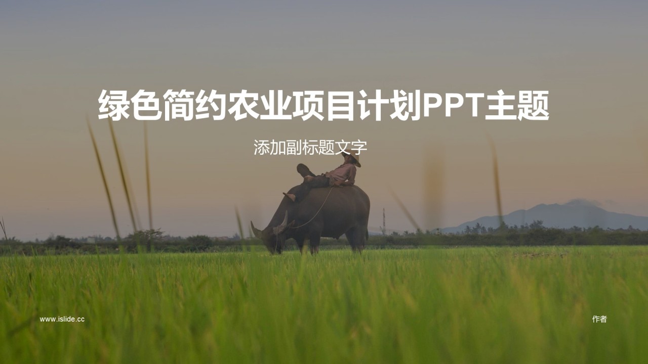 绿色简约农业项目计划PPT主题
