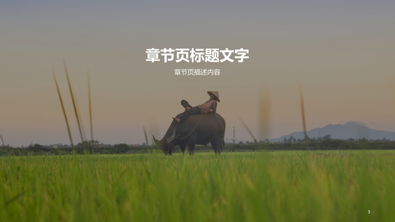 绿色简约农业项目计划PPT主题