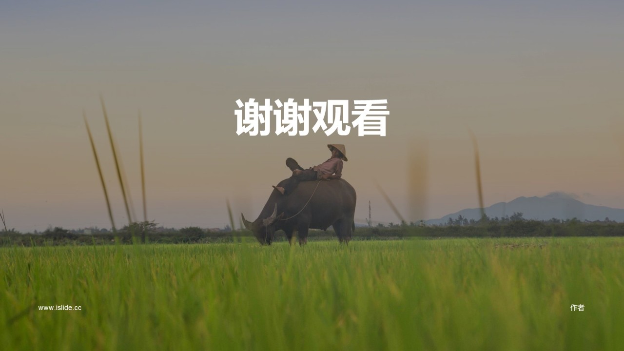 绿色简约农业项目计划PPT主题
