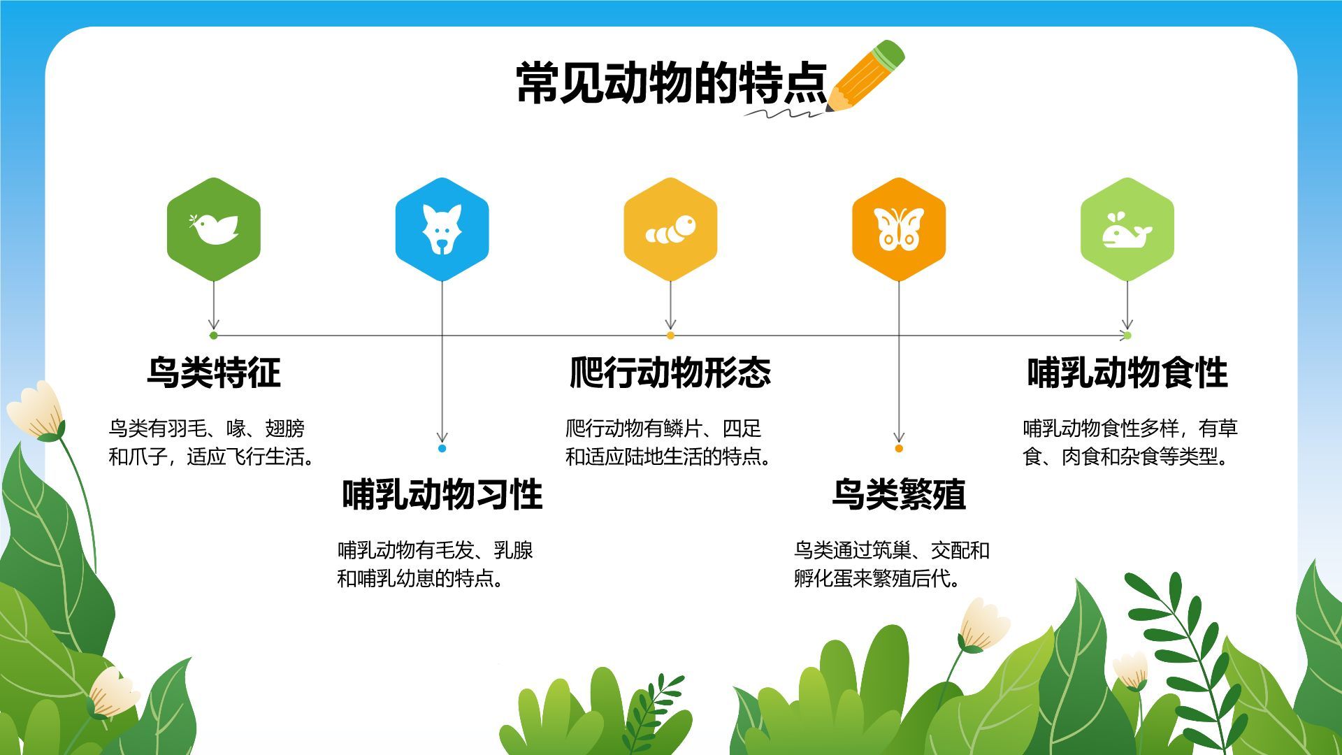 蓝色卡通风小学自然科学知识探索PPT模板