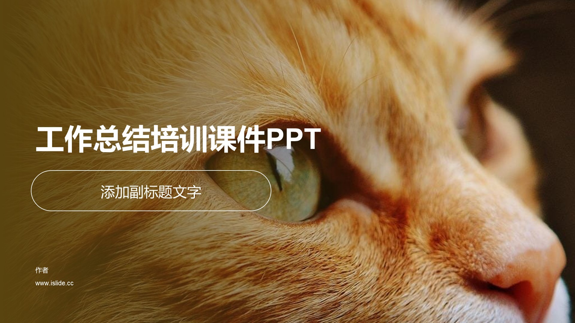 工作总结培训课件PPT