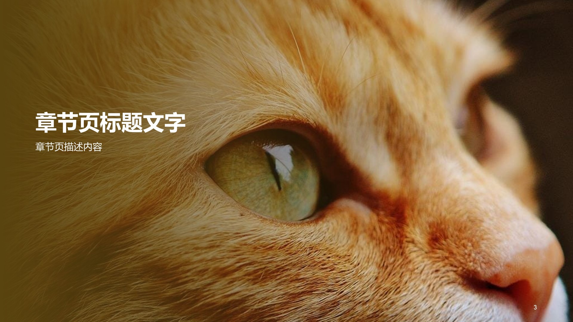 工作总结培训课件PPT