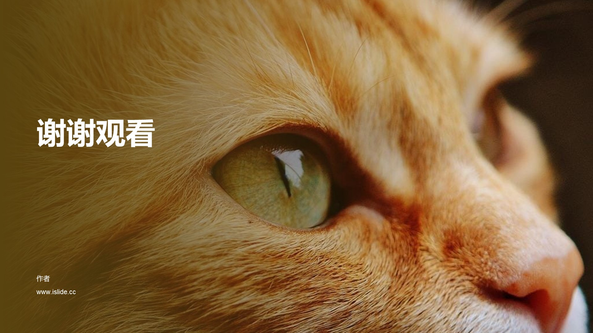 工作总结培训课件PPT