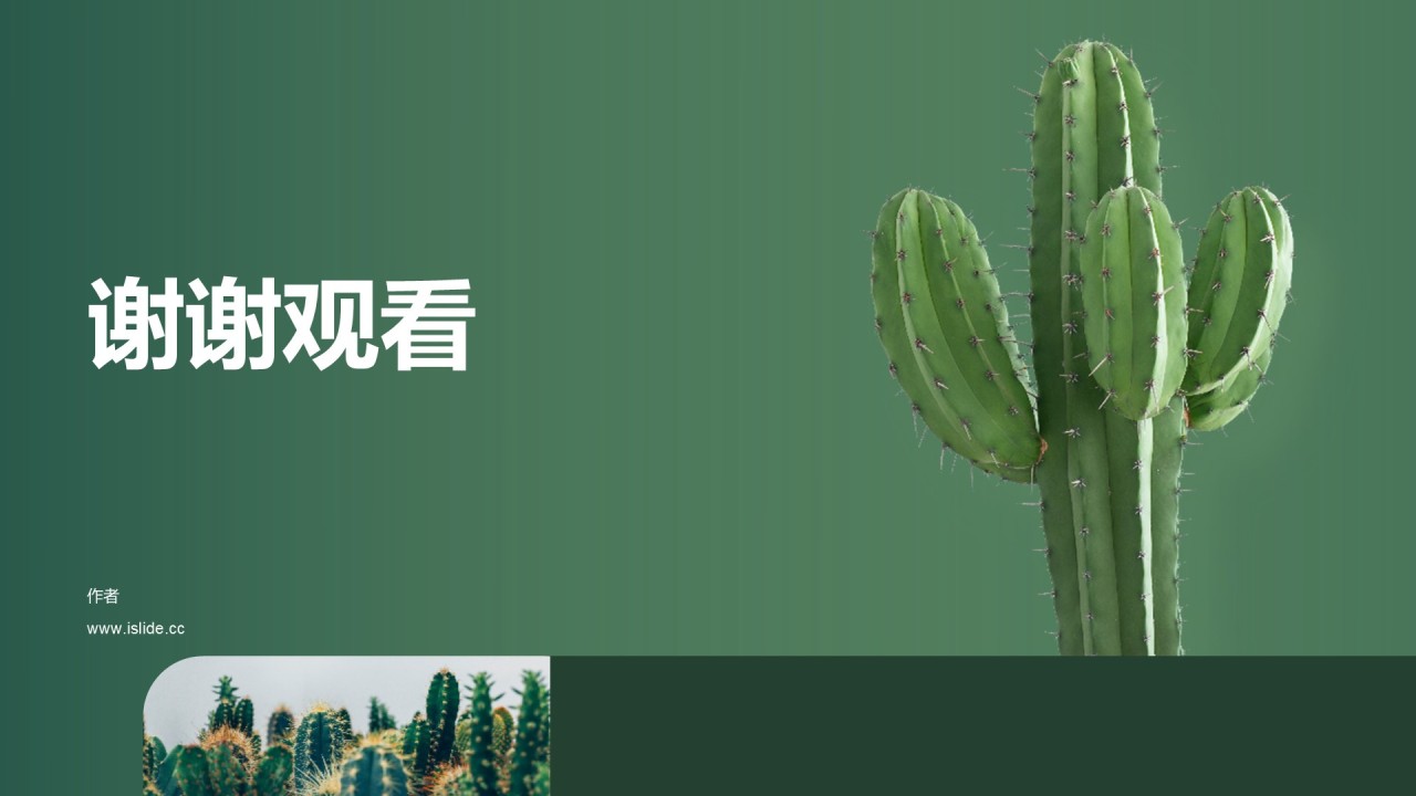绿色简约环保绿植研究报告PPT主题