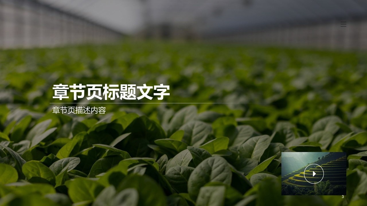 农业生产培训课件PPT主题